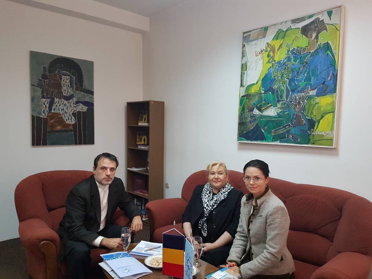 Meeting between SEEHN Director and H.E. Ambassador of Romania to the Republic of Macedonia