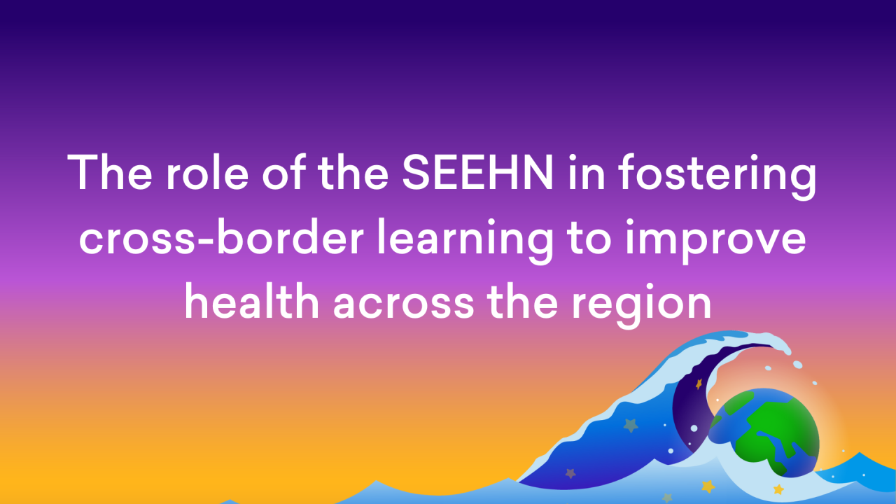 The role of the South-eastern Europe Health Network in fostering cross-border learning to improve health across the region